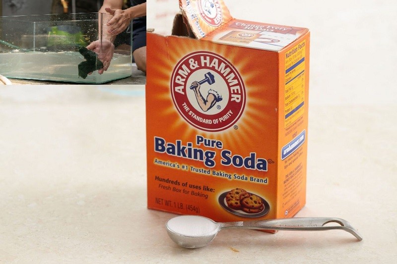 Dùng bột baking soda vệ sinh hồ kính bị ố vàng