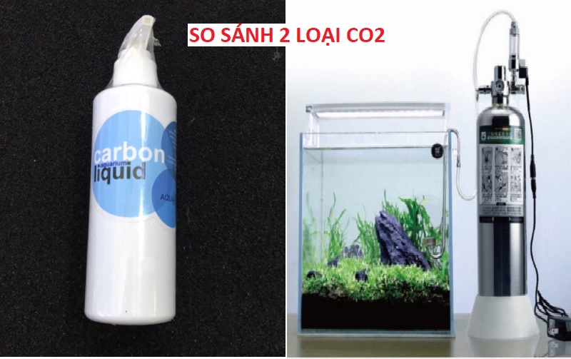 So sánh CO2 dạng lỏng và bình CO2 khí