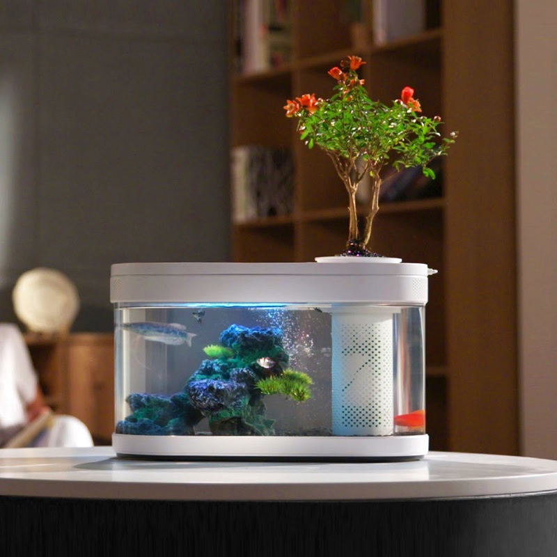 Bể cá mini thông minh để bàn làm việc