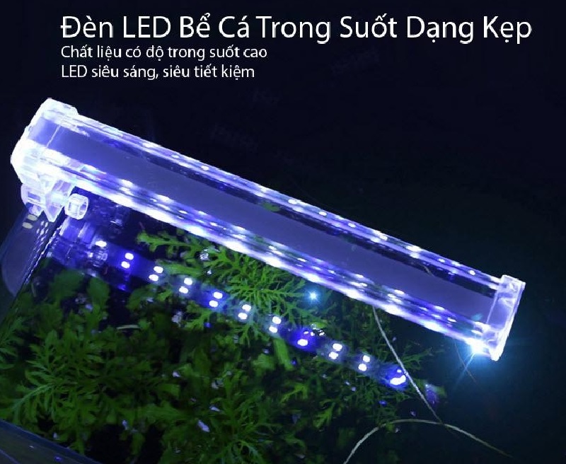 Đèn LED cho bể cá