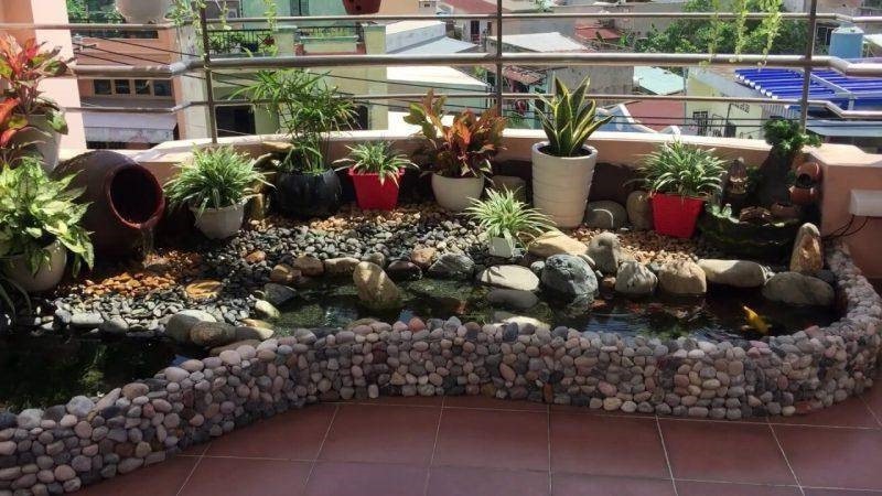 Kích thước và kiểu dáng hồ cá mini phù hợp với sân thượng