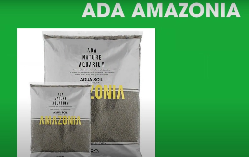 Phân nền ADA Amazonia