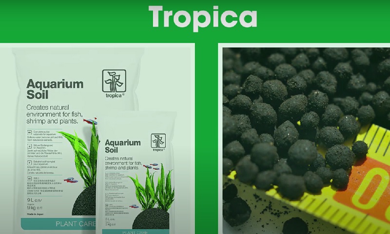 Phân nền Tropica