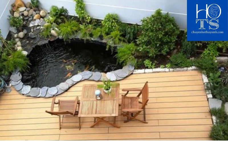 Cần lưu ý gì khi nuôi hồ cá mini trên sân thượng